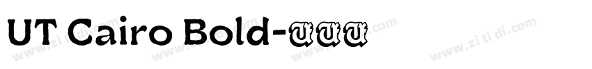 UT Cairo Bold字体转换